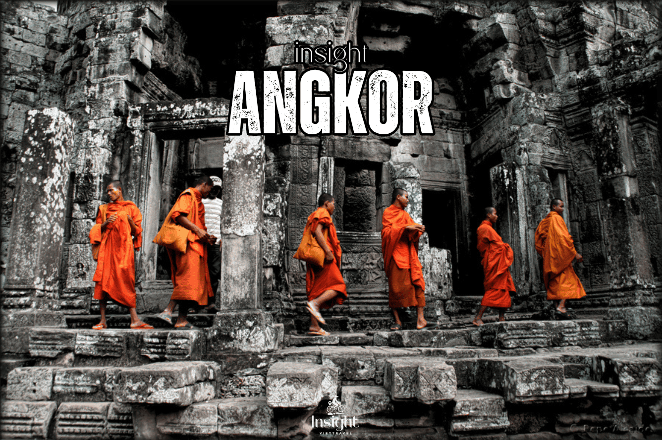 Insight Viettravel | Leading reputable travel company in Vietnam.