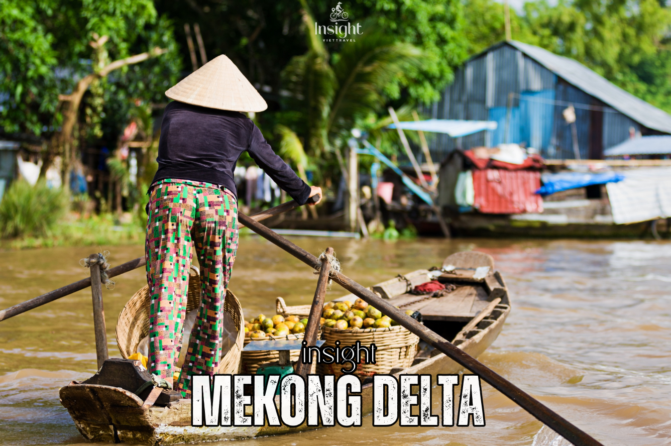 Insight Viettravel | Leading reputable travel company in Vietnam.