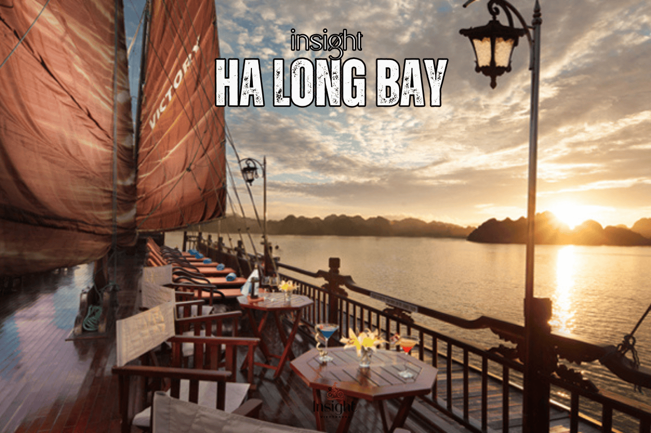 Insight Viettravel | Leading reputable travel company in Vietnam.