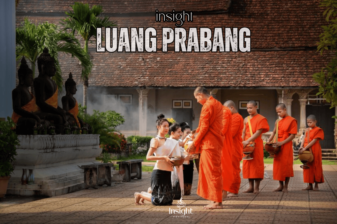 Insight Viettravel | Leading reputable travel company in Vietnam.