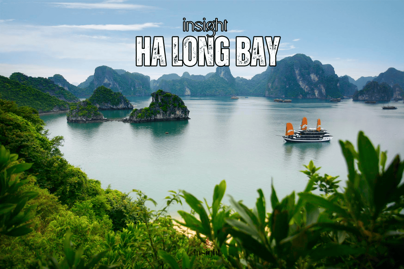 Insight Viettravel | Leading reputable travel company in Vietnam.