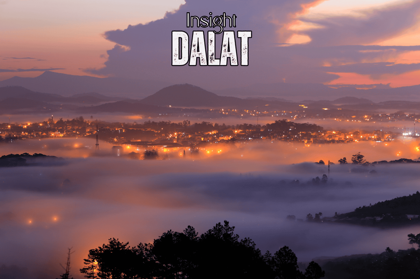 Insight Viettravel | Leading reputable travel company in Vietnam.