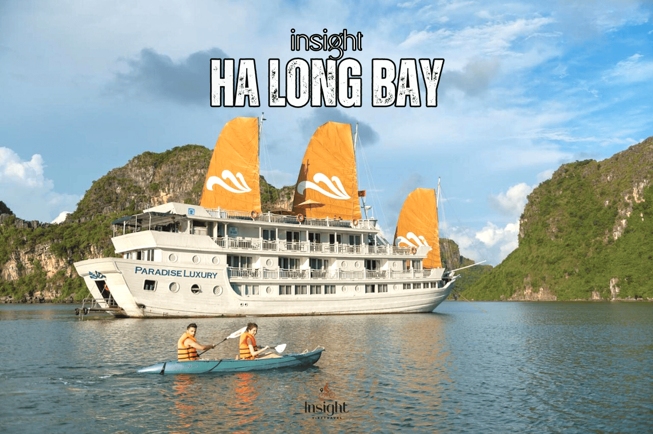 Insight Viettravel | Leading reputable travel company in Vietnam.