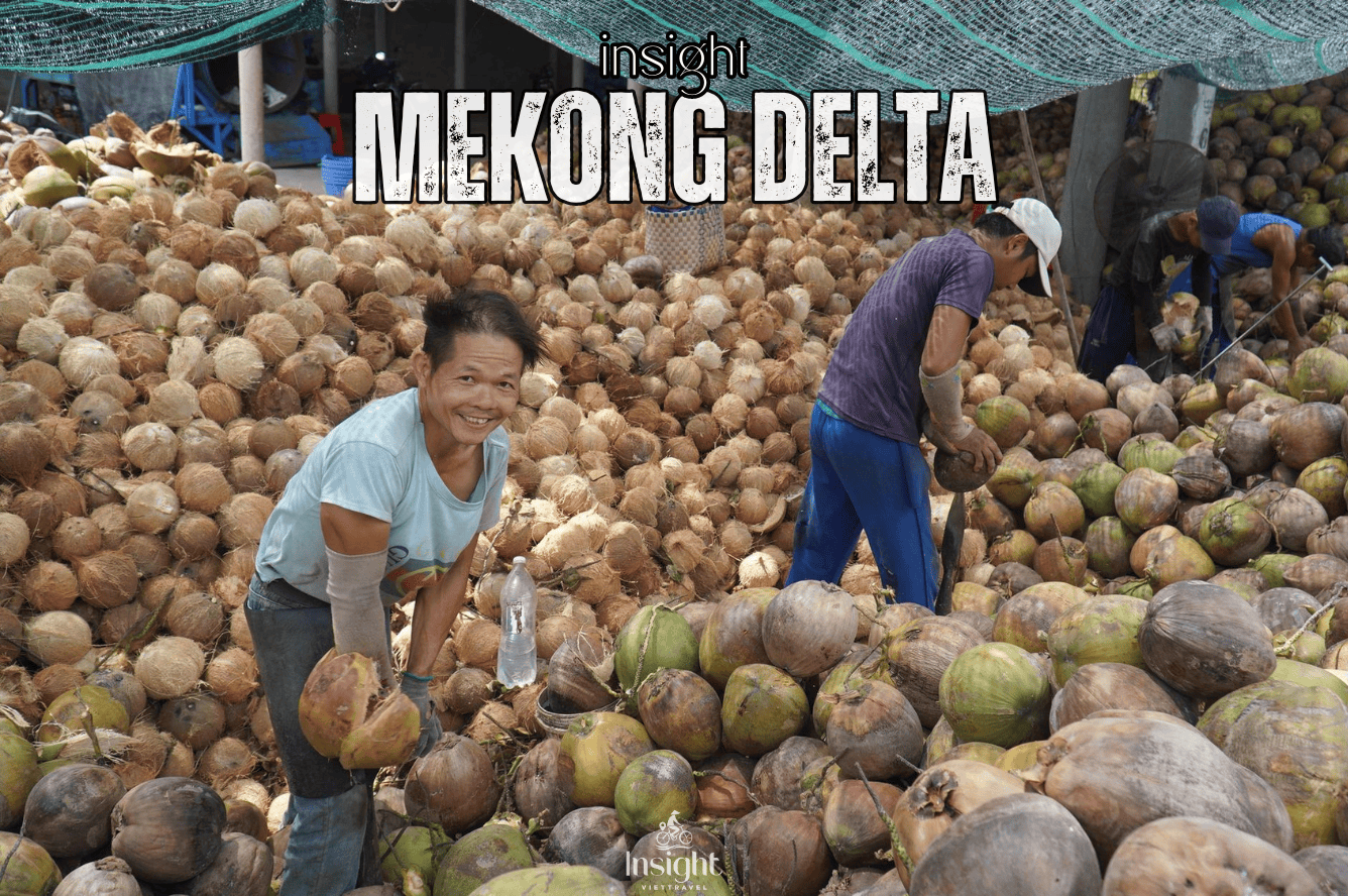 Insight Viettravel | Leading reputable travel company in Vietnam.