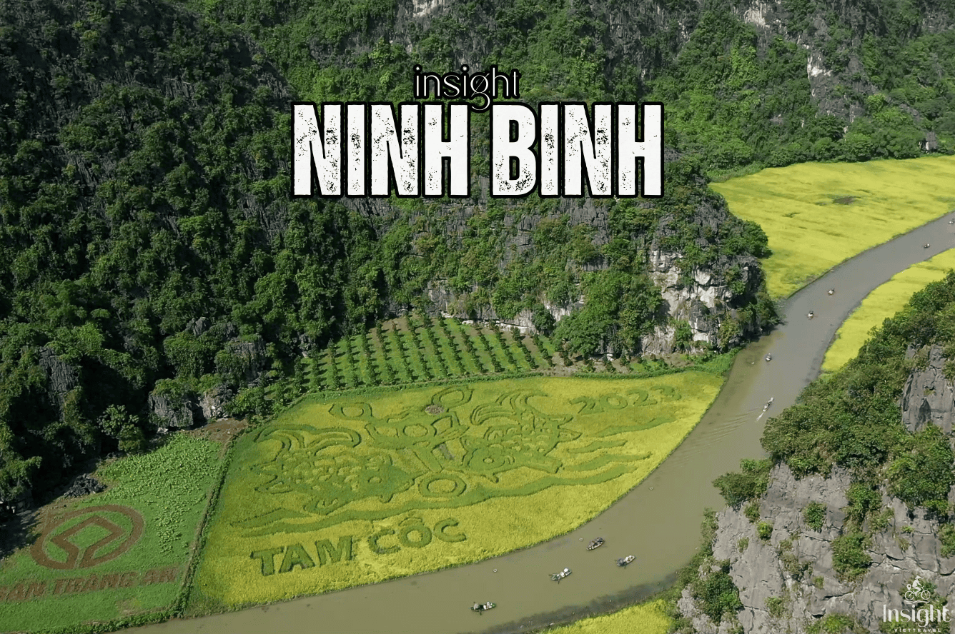 Insight Viettravel | Leading reputable travel company in Vietnam.