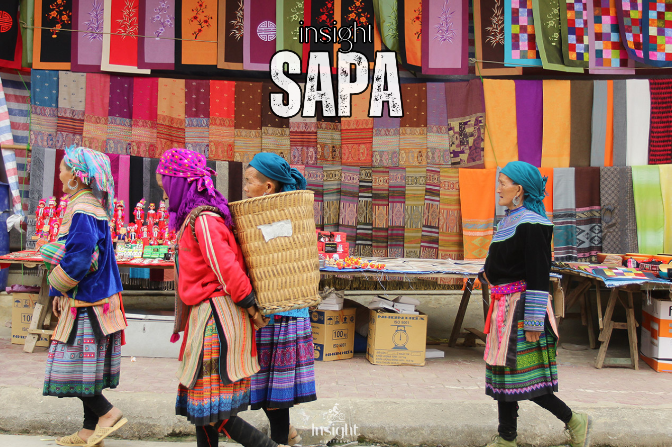 Insight Viettravel | Leading reputable travel company in Vietnam.