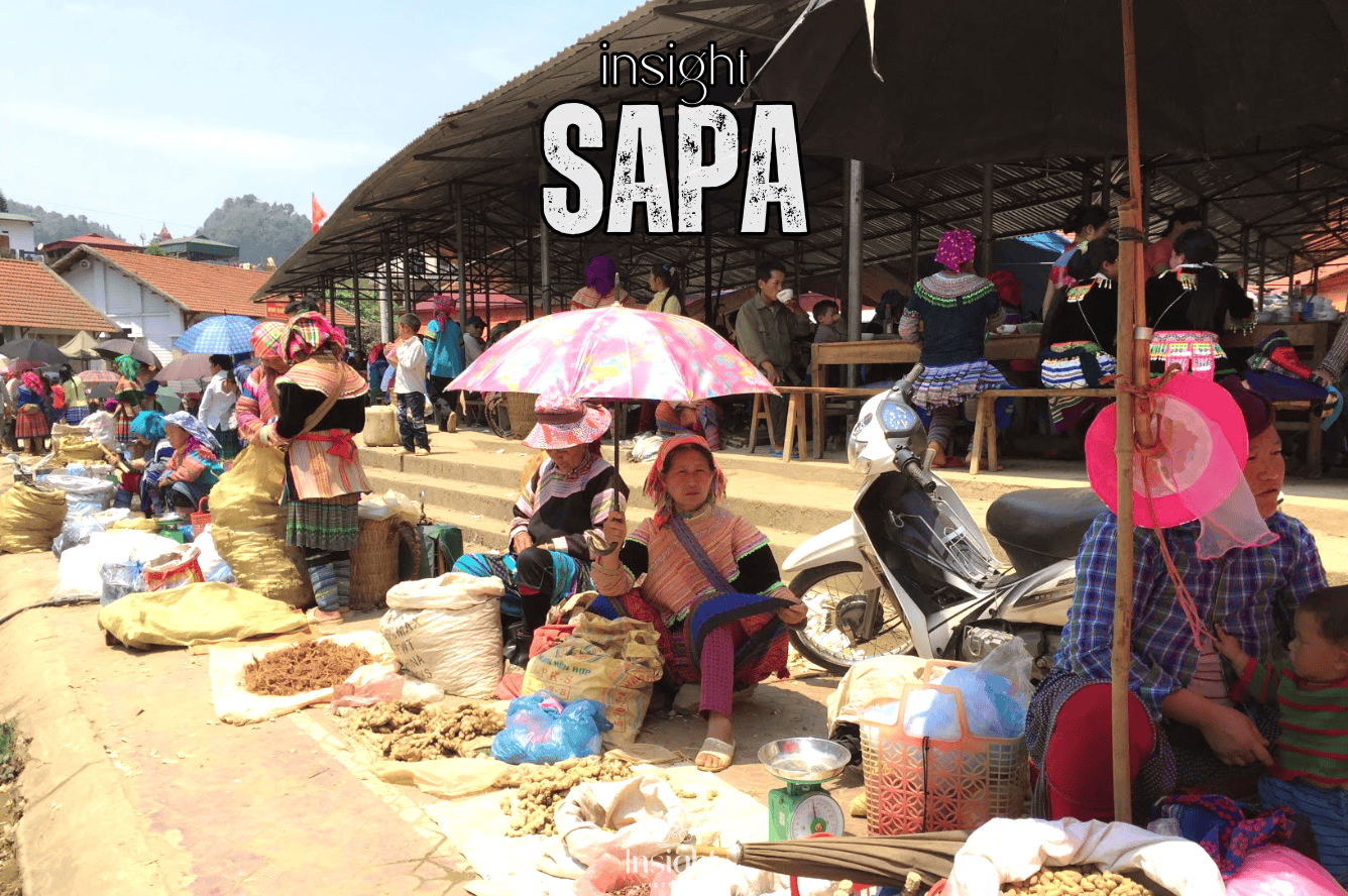 Insight Viettravel | Leading reputable travel company in Vietnam.