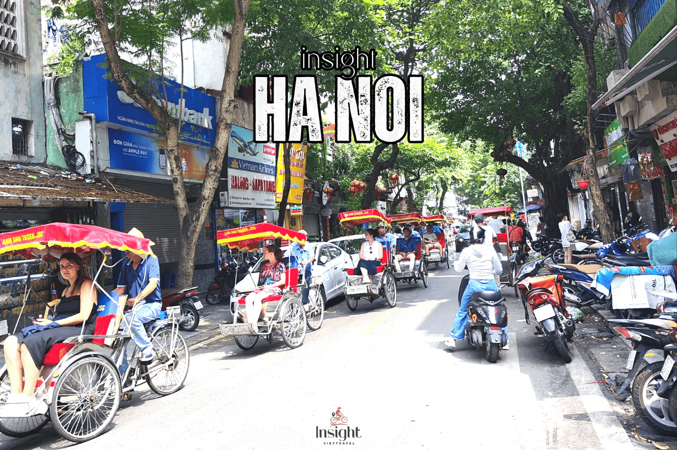 Insight Viettravel | Leading reputable travel company in Vietnam.