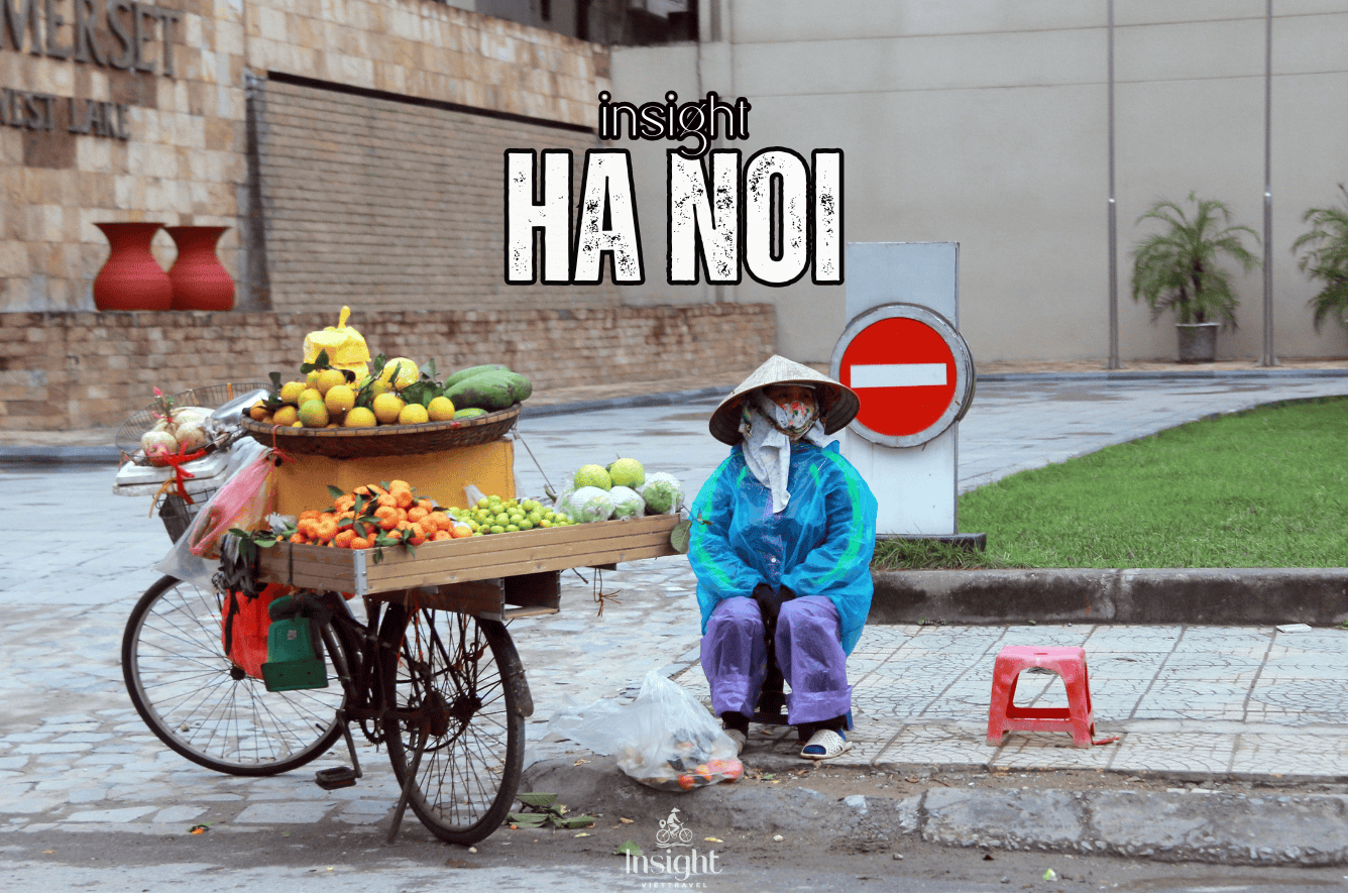 Insight Viettravel | Leading reputable travel company in Vietnam.